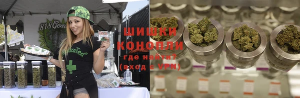 дурь Гусев