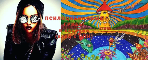 дурь Гусев