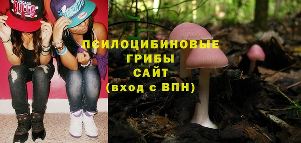 ECSTASY Вяземский