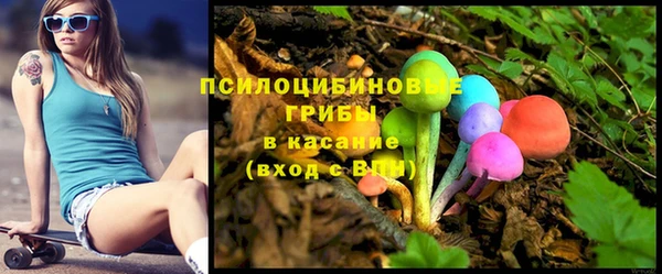 дурь Гусев