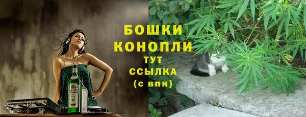 ECSTASY Вяземский