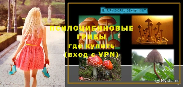 дурь Вязьма