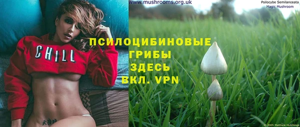 COCAINE Гусиноозёрск