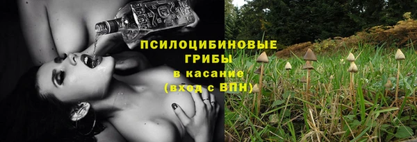 твердый Гусь-Хрустальный