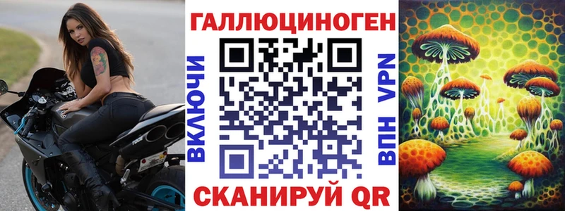 купить  сайты  Елабуга  Псилоцибиновые грибы Psilocybine cubensis 